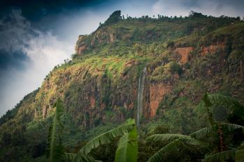 kávová hora Mount Elgon