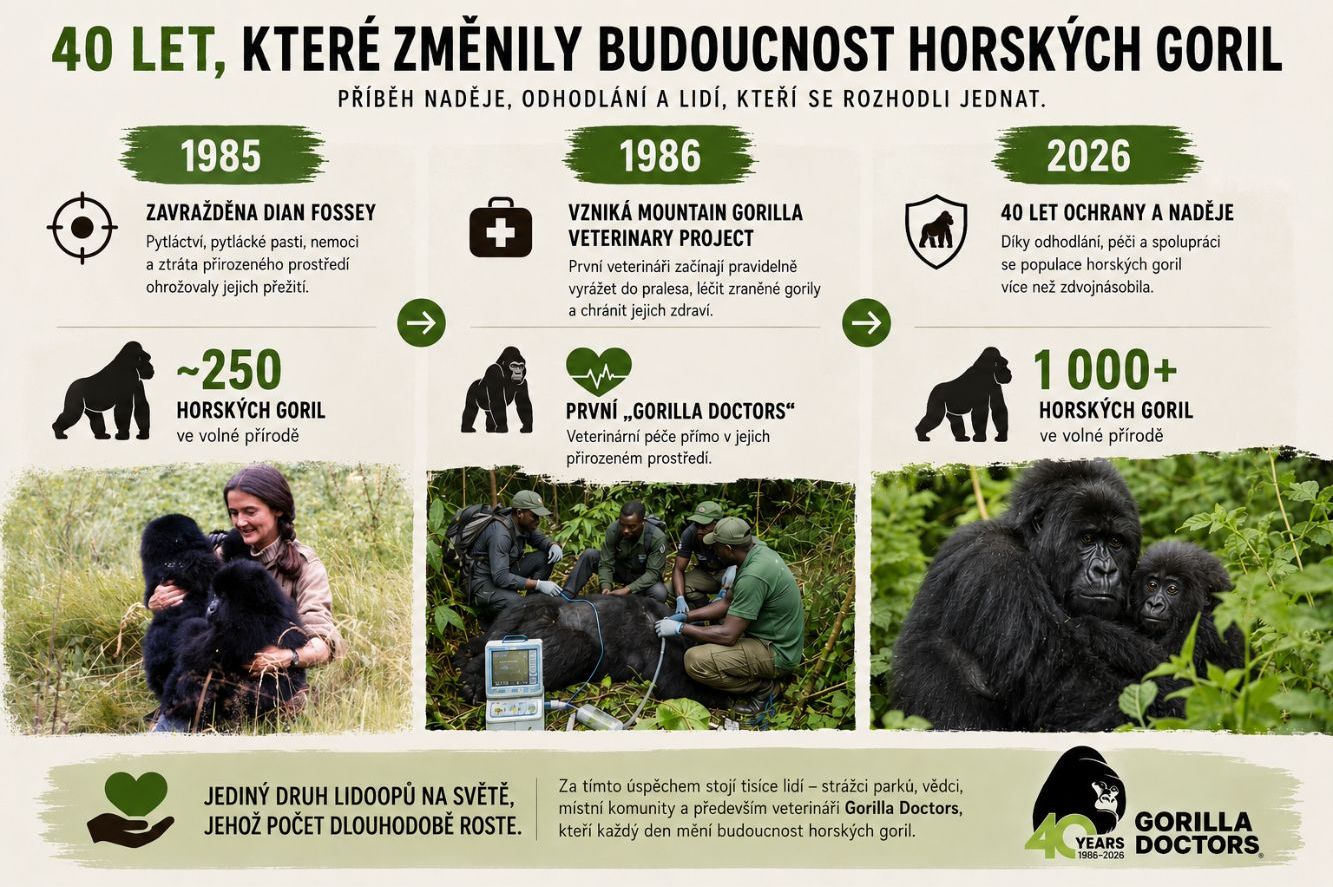 Vývoj Gorilla Doctors 1986 - 2026 Vývoj Gorilla Doctors 1986 - 2026