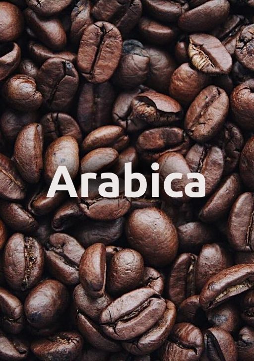 Káva Arabica