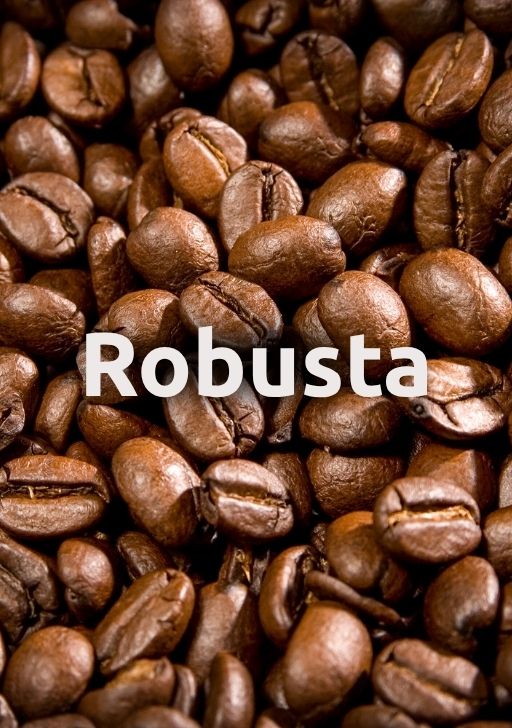 Káva Robusta