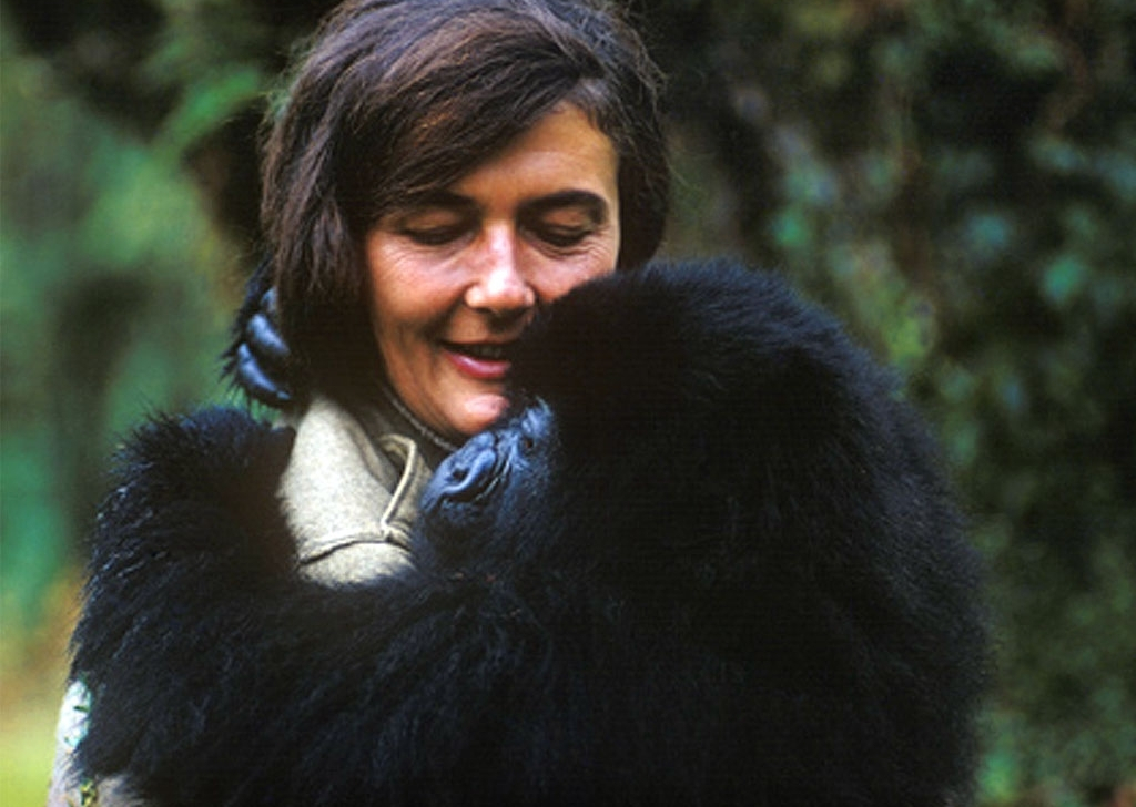 Dian Fossey – 40 let od smrti ženy, která změnila osud horských goril