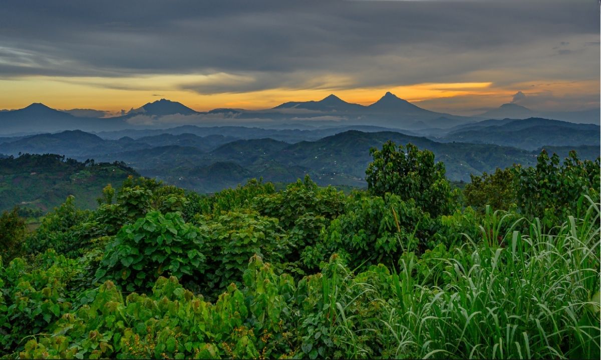 Pohoří Virunga, které je součástí Albertinského příkopu, tvoří řetězec sopek rozprostírající se přes tři státy. Zleva doprava: Mount Gahinga (3474 m), Mount Sabyinyo (3674 m, nezaměnitelná díky svému členitému vrcholu, na jehož vrcholu se setkávají hranice tří zemí – Rwandy, Ugandy a Konga), Mount Karisimbi (4507 m), Mount Mikeno (4437 m) a Mount Nyiragongo (3470 m – jediná aktivní sopka, rozpoznatelná díky fumarolám).