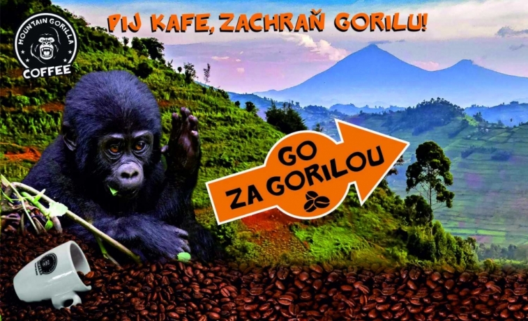 SOUTĚŽ GO za GORILOU – Pij kafe a jeď za gorilou!