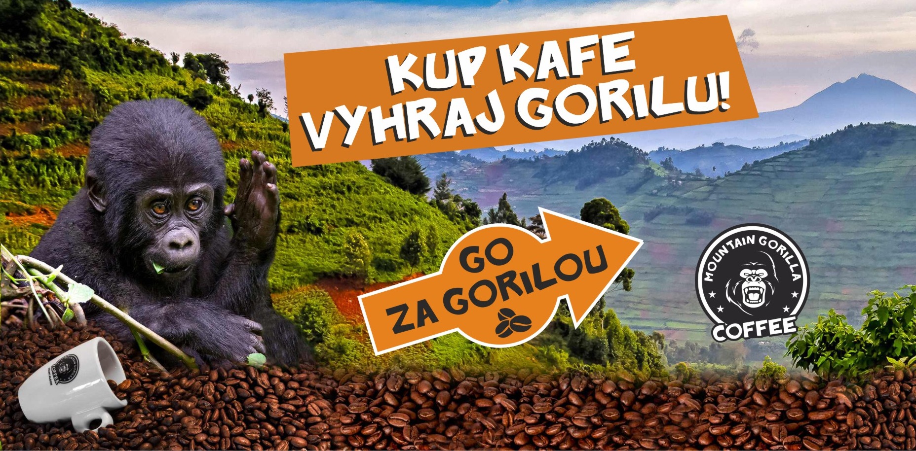SOUTĚŽ GO za GORILOU – Kup kafe, vyhraj gorilu!